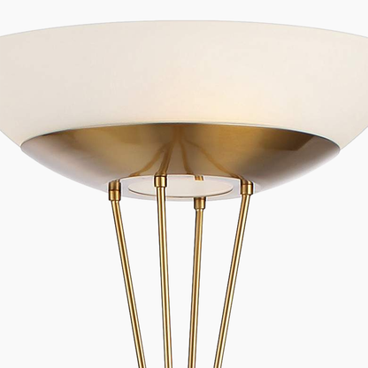 Modern Bowl Shape Floor Lamp