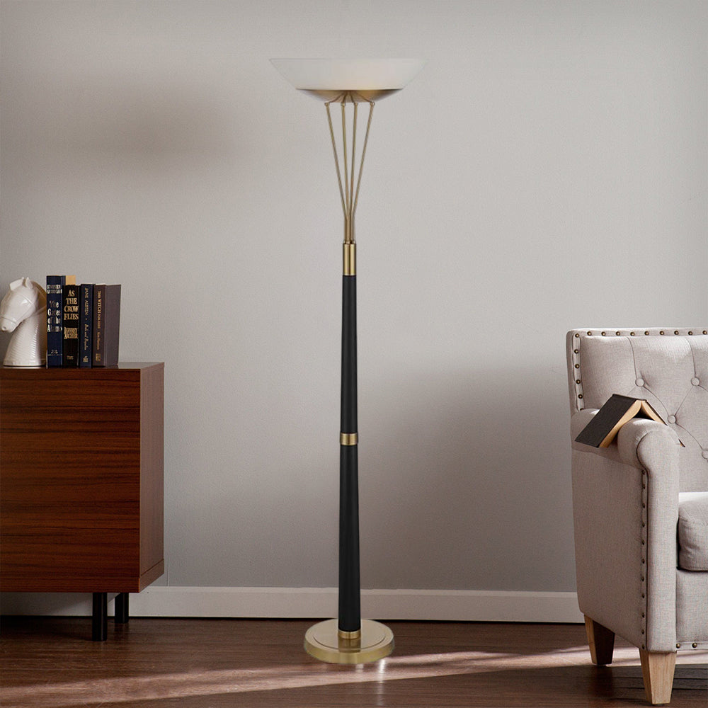 Modern Bowl Shape Floor Lamp