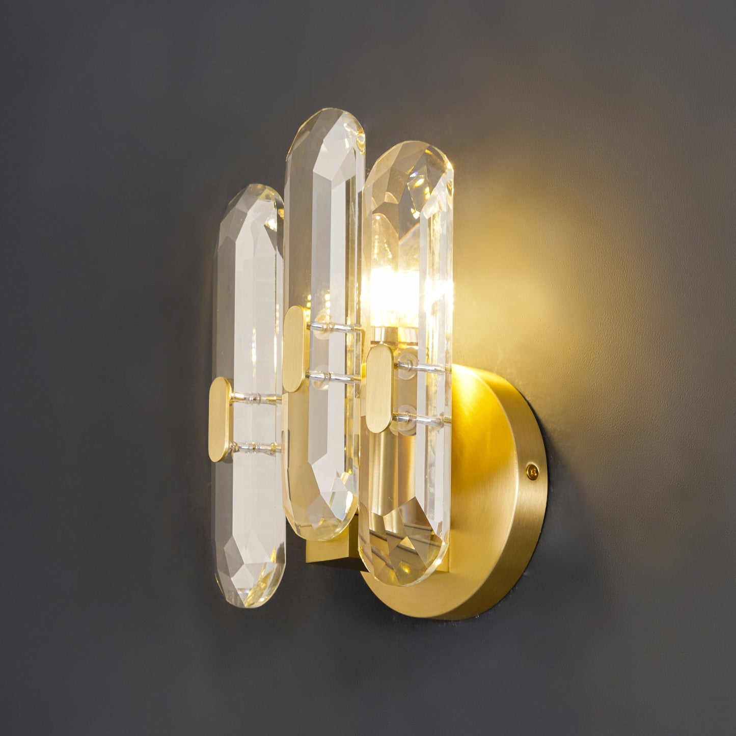 Elegant Iron Crystal Wall Sconce